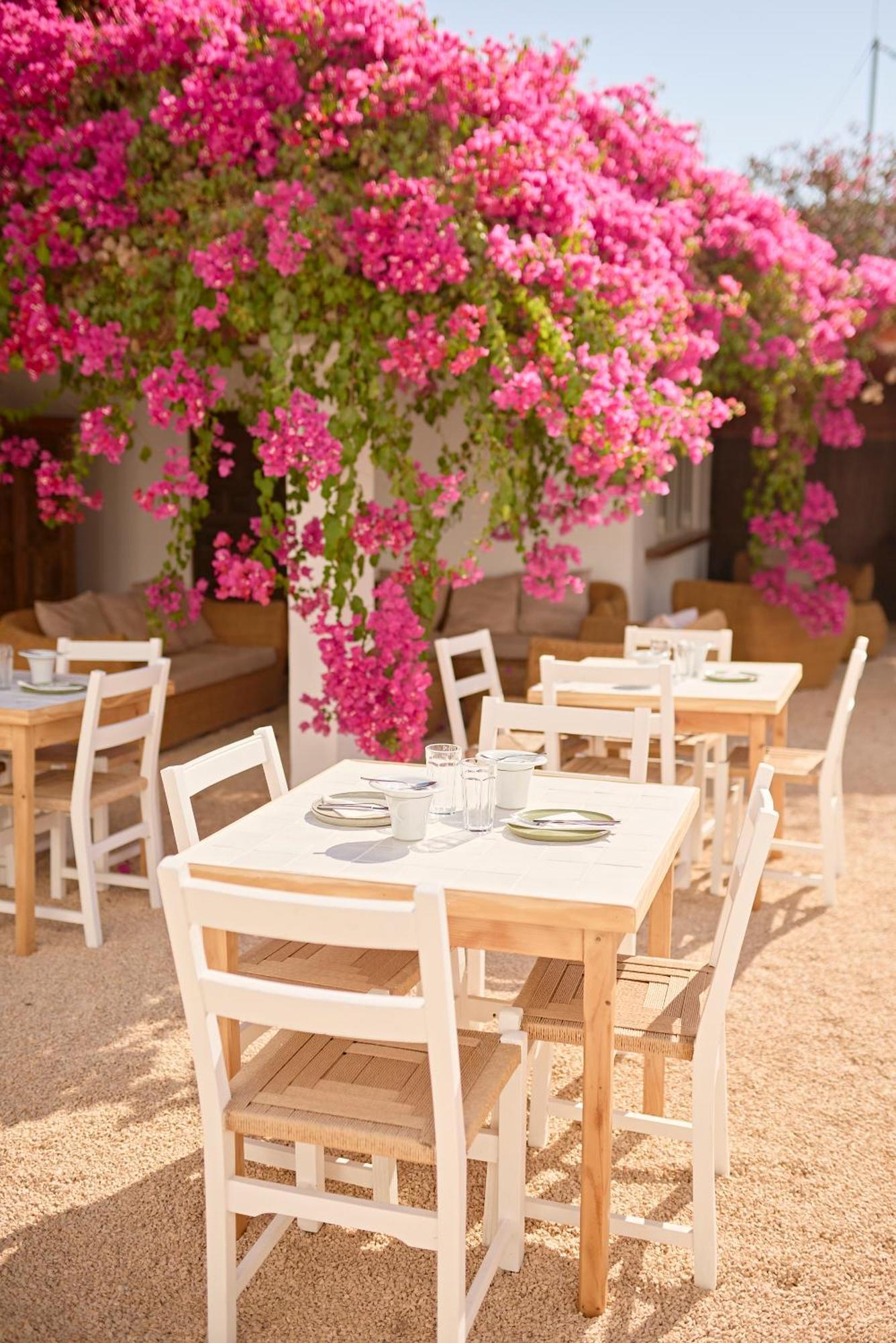 Ibara Ibiza Hotel Boutique Es Canar  Exterior photo